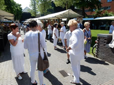 Uitvoering 2017 Muziektuin (20).jpg